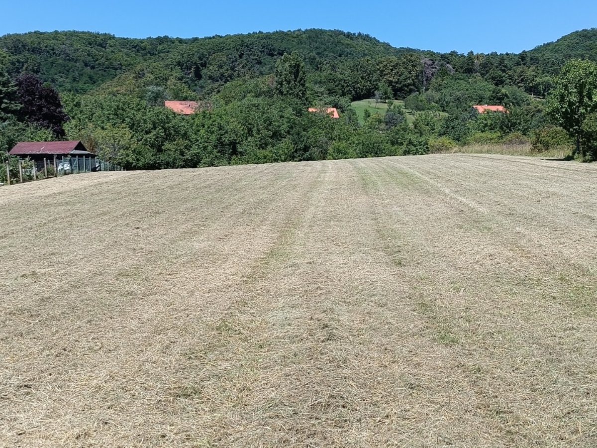 Pokošena i malčirana livada s pogledom na brežuljke