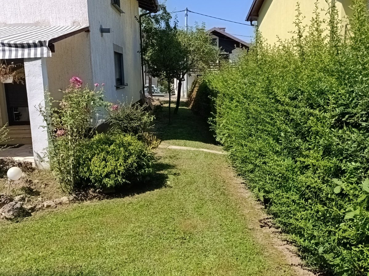 Uređena okućnica s pokošenim travnjakom i živicom