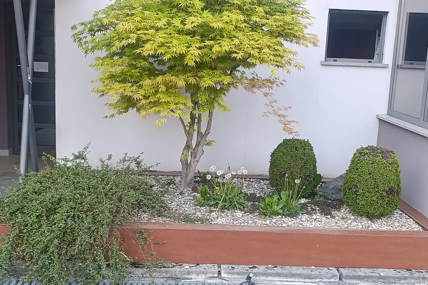 Zapuštena gredica s korovom prije uređenja