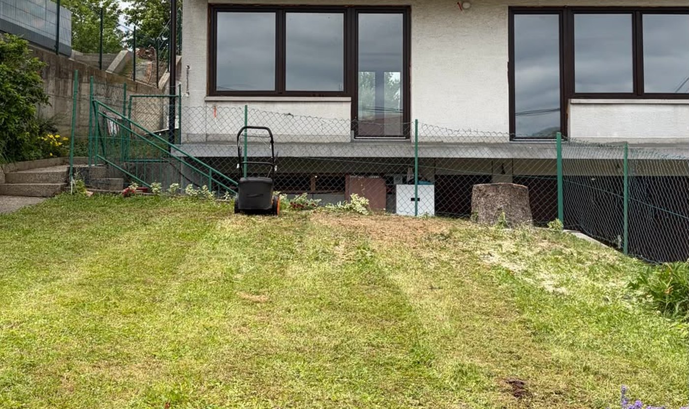 Okućnica nakon uklanjanja velikog bora